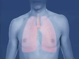 Síntomas y tratamiento del asma bronquial
