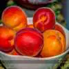 Podemos mejorar la salud de los hijos mediante los alimentos