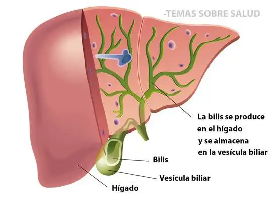 Dolor abdominal por hepatitis C