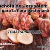 Verduras olvidadas