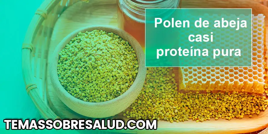 El polen de abeja es casi es proteína pura