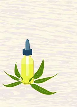usos sorprendentes del aceite de eucalipto