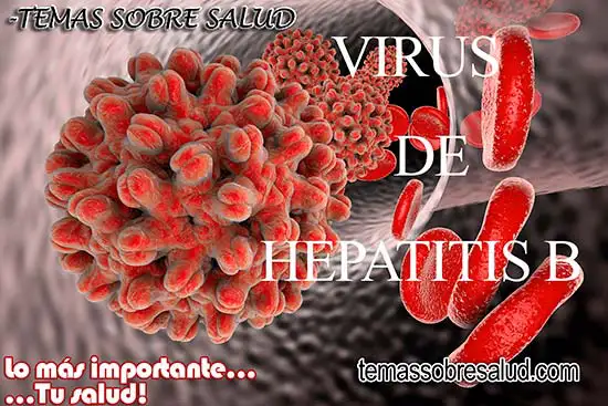 hepatitis b aguda