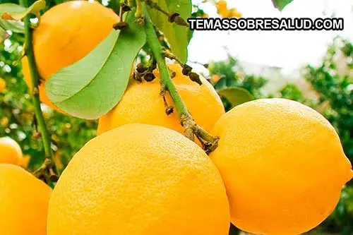 Diuréticos naturales - puedes usar la ralladura de los limones