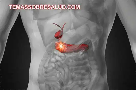Conexión entre las Hormonas y la Vesícula Biliar digestión