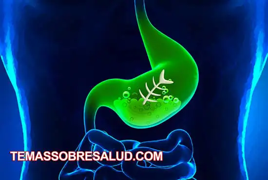 Secretina – hormona del proceso digestivo - desequilibrios hormonales