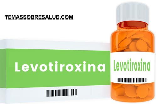 La salud tiroidea implica mucho más que un fármaco como la levotiroxina - hipotiroidismo y niveles bajos de testosterona