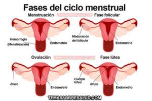 Menstruación oscura – ¿Puede afectar al embarazo?