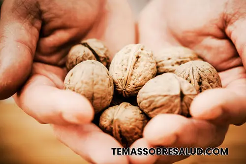 Nueces potencian la salud del cerebro