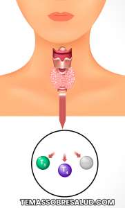 desequilibrio de las hormonas tiroideas