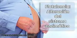 Flatulencia debida a Enfermedades del aparato digestivo